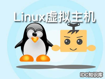 虛擬主機和vps的區別-域名頻道IDC知識庫