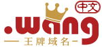 中文.wang域名注冊 中文.wang域名